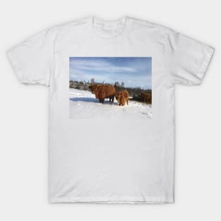 Scottish Highland Cattle Cow and Calf 1959 T-Shirt